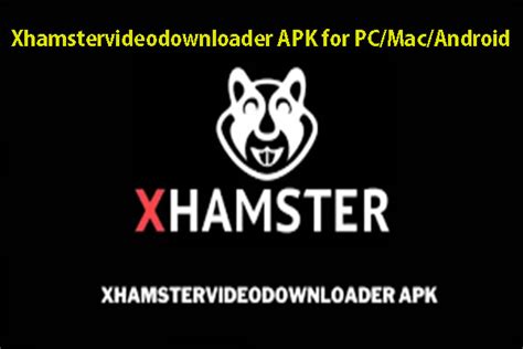 free xhamster videos|Free Xhamster Video Porn Videos